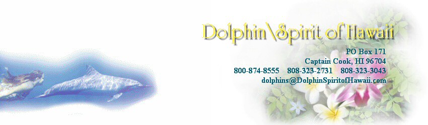 Dolphin Spirit of Hawaii