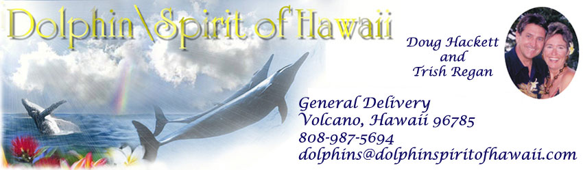 Dolphin Spirit of Hawaii