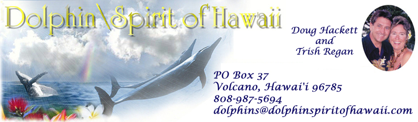 Dolphin Spirit of Hawaii